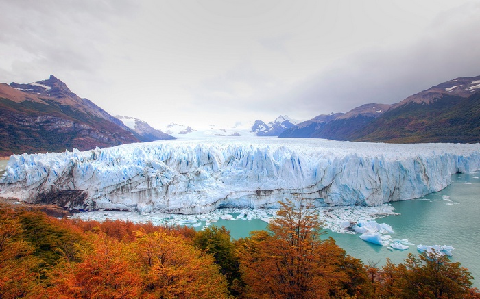 Perito Moreno Glacier with Autumn Trees