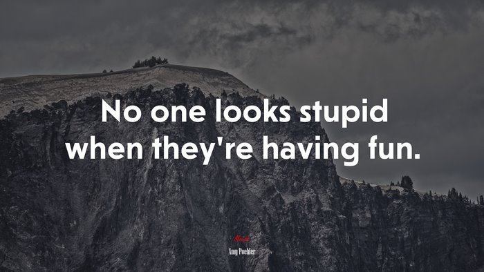 No one looks stupid when they’re having fun. | Amy Poehler quote