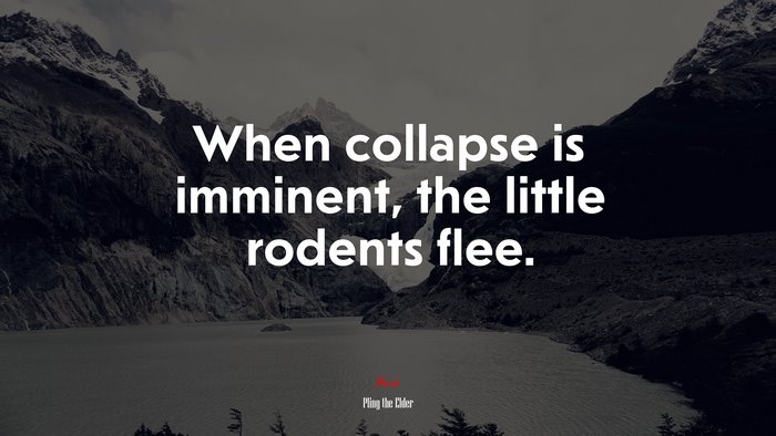 When collapse is imminent, the little rodents flee. | Pliny the Elder quote