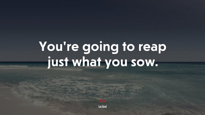 You’re going to reap just what you sow. | Lou Reed quote