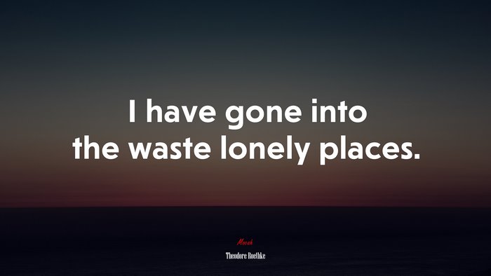 I have gone into the waste lonely places. | Theodore Roethke quote