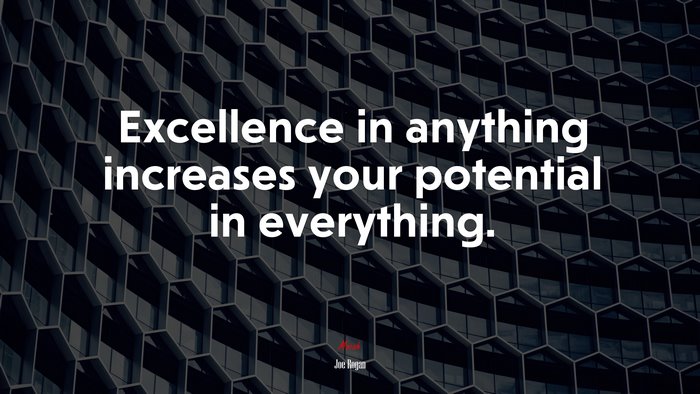 Excellence in anything increases your potential in everything. | Joe Rogan quote