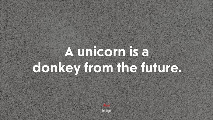 A unicorn is a donkey from the future. | Joe Rogan quote