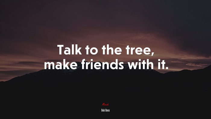 Talk to the tree, make friends with it. | Bob Ross quote