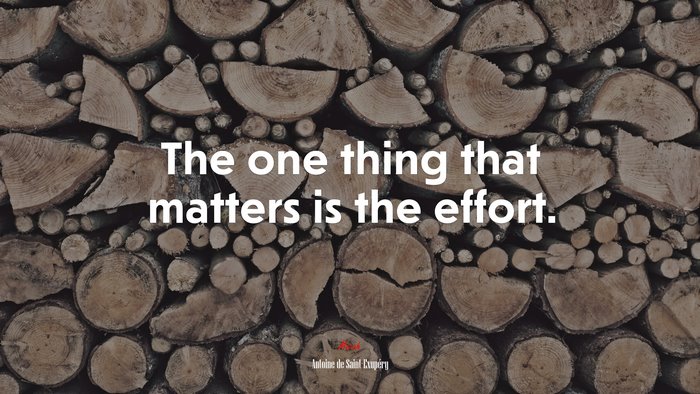 The one thing that matters is the effort. | Antoine de Saint-Exupéry quote