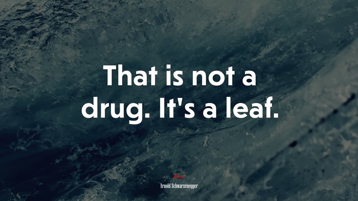 That is not a drug. It’s a leaf. | Arnold Schwarzenegger quote