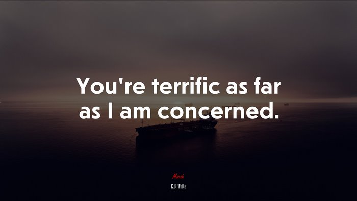 You’re terrific as far as I am concerned. | E.B. White quote