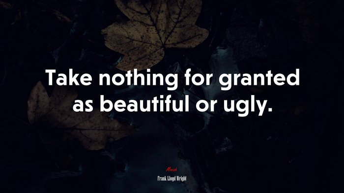 Take nothing for granted as beautiful or ugly. | Frank Lloyd Wright quote