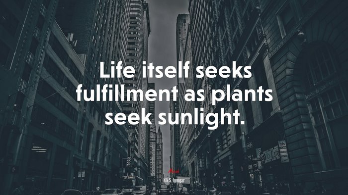 Life itself seeks fulfillment as plants seek sunlight. | B.K.S. Iyengar quote