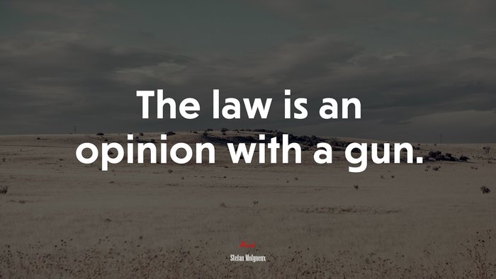 The law is an opinion with a gun. | Stefan Molyneux quote