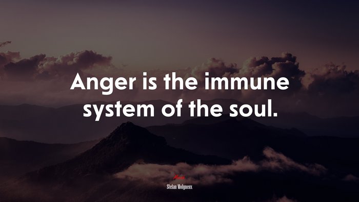 Anger is the immune system of the soul. | Stefan Molyneux quote