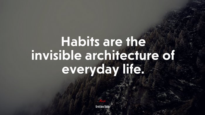 Habits are the invisible architecture of everyday life. | Gretchen Rubin quote