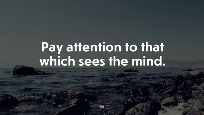 Pay attention to that which sees the mind. | Mooji quote