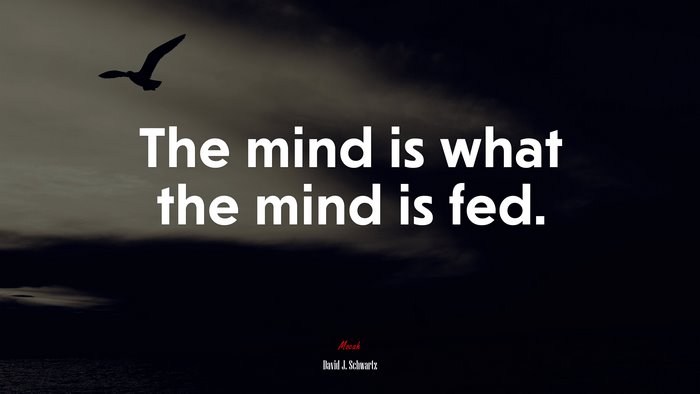 The mind is what the mind is fed. | David J. Schwartz quote