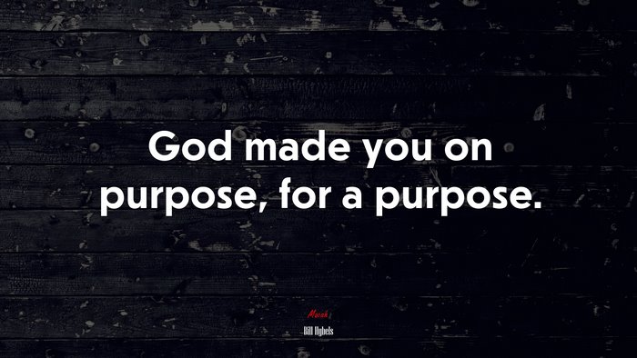 God made you on purpose, for a purpose. | Bill Hybels quote