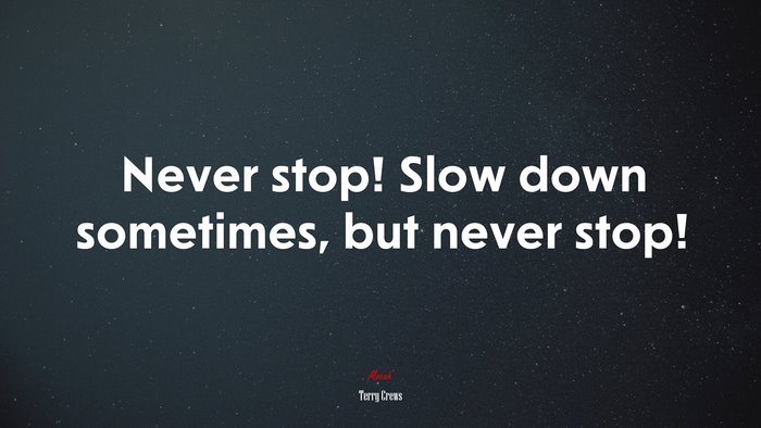 Never stop! Slow down sometimes, but never stop! | Terry Crews quote