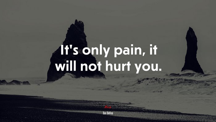 It’s only pain, it will not hurt you. | Bas Rutten quote