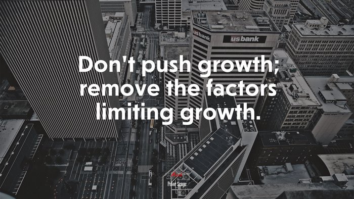 Don’t push growth; remove the factors limiting growth. | Peter Senge quote