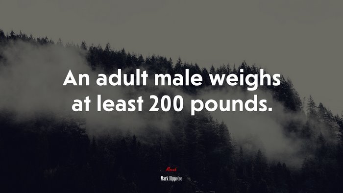 An adult male weighs at least 200 pounds. | Mark Rippetoe quote