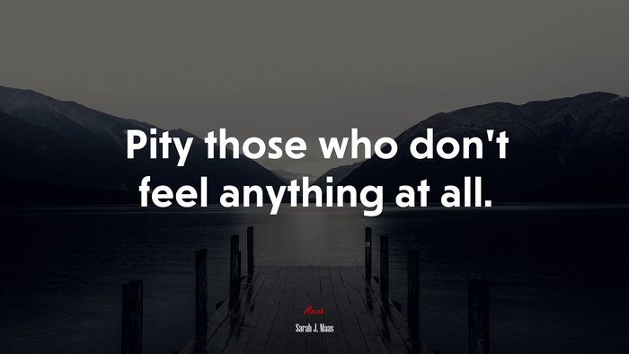 Pity those who don’t feel anything at all. | Sarah J. Maas quote