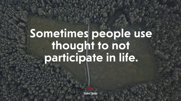 Sometimes people use thought to not participate in life. | Stephen Chbosky quote