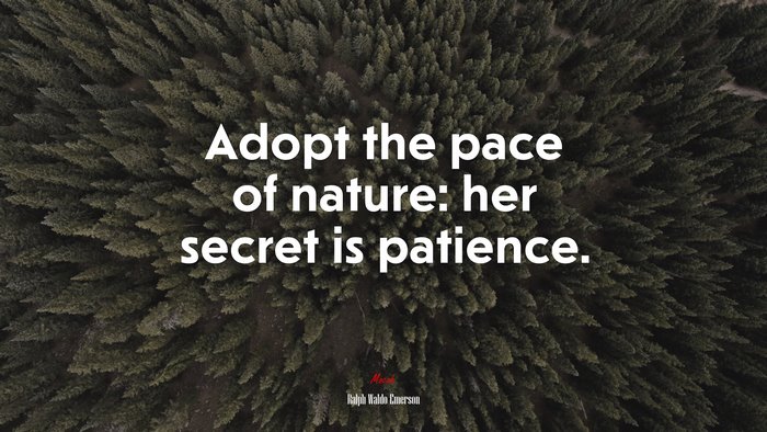Adopt the pace of nature: her secret is patience. | Ralph Waldo Emerson quote