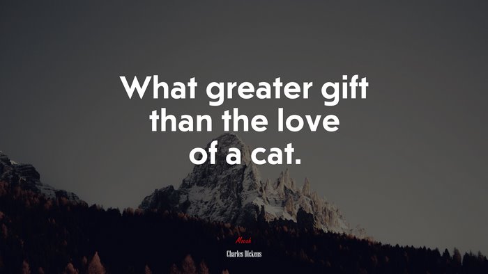 What greater gift than the love of a cat. | Charles Dickens quote