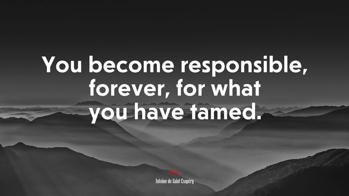 You become responsible, forever, for what you have tamed. | Antoine de Saint-Exupéry quote