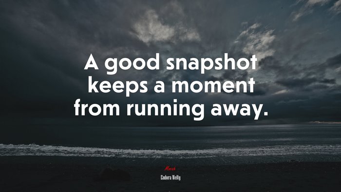 A good snapshot keeps a moment from running away. | Eudora Welty quote