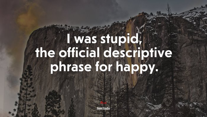 I was stupid, the official descriptive phrase for happy. | Daniel Handler quote