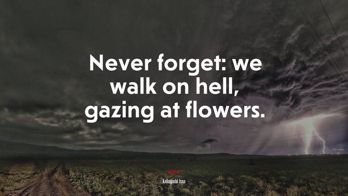 Never forget: we walk on hell, gazing at flowers. | Kobayashi Issa quote