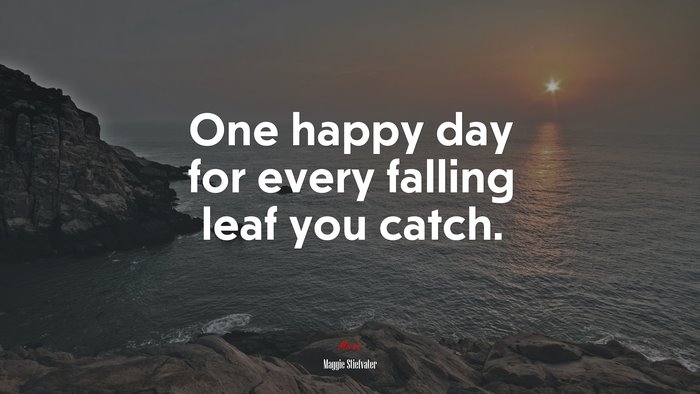 One happy day for every falling leaf you catch. | Maggie Stiefvater quote