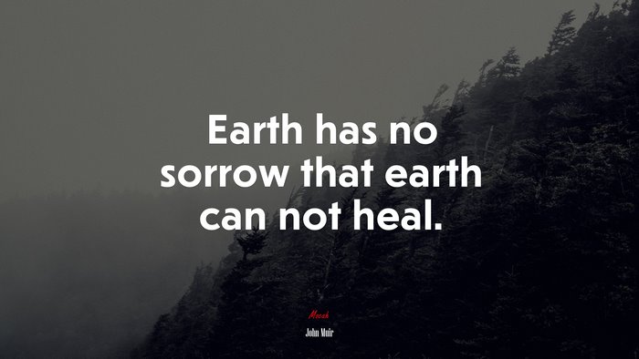 Earth has no sorrow that earth can not heal. | John Muir quote