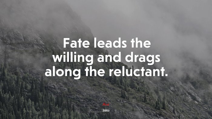 Fate leads the willing and drags along the reluctant. | Seneca quote