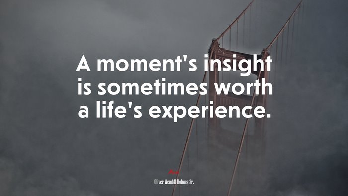 A moment’s insight is sometimes worth a life’s experience. | Oliver Wendell Holmes Sr. quote