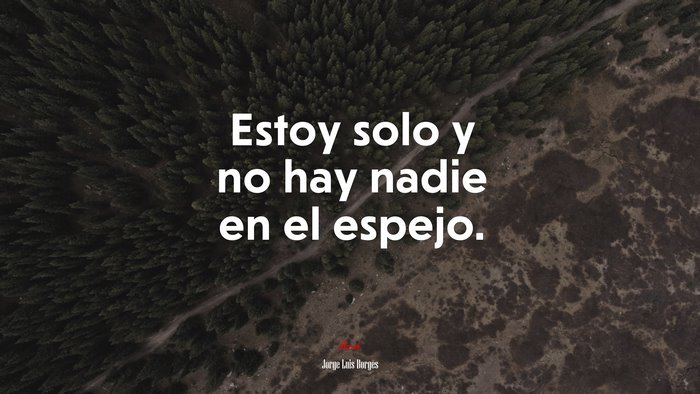 Estoy solo y no hay nadie en el espejo. | Jorge Luis Borges quote