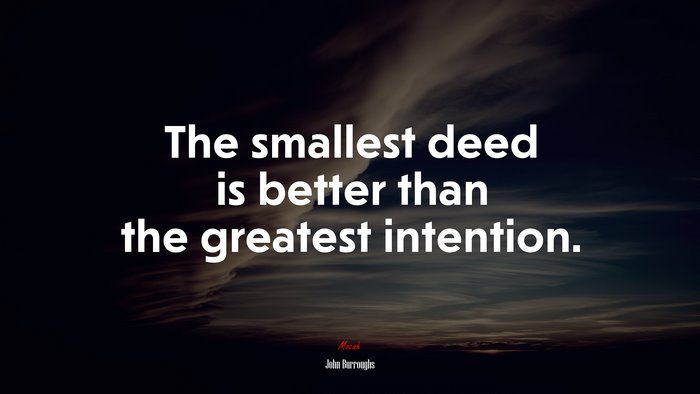 The smallest deed is better than the greatest intention. | John Burroughs quote