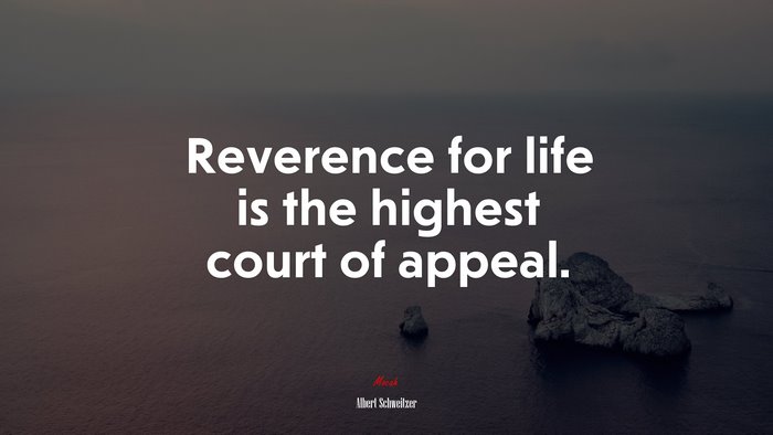 Reverence for life is the highest court of appeal. | Albert Schweitzer quote