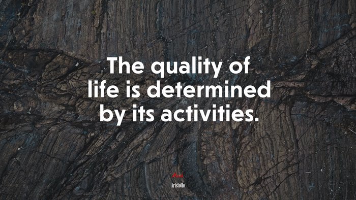 The quality of life is determined by its activities. | Aristotle quote