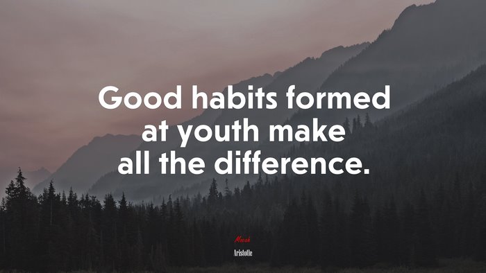 Good habits formed at youth make all the difference. | Aristotle quote
