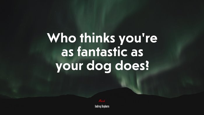 Who thinks you’re as fantastic as your dog does? | Audrey Hepburn quote