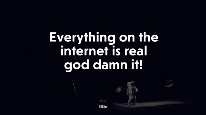 Everything on the internet is real god damn it! | Bill Gates quote