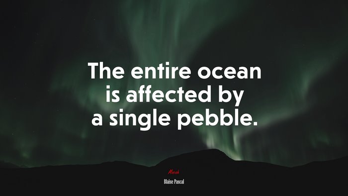 The entire ocean is affected by a single pebble. | Blaise Pascal quote
