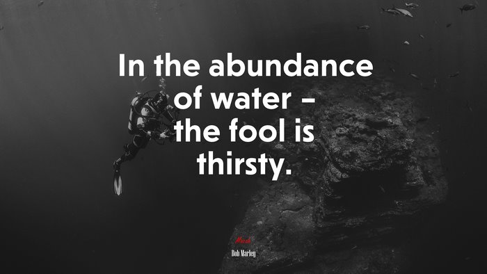 In the abundance of water – the fool is thirsty. | Bob Marley quote
