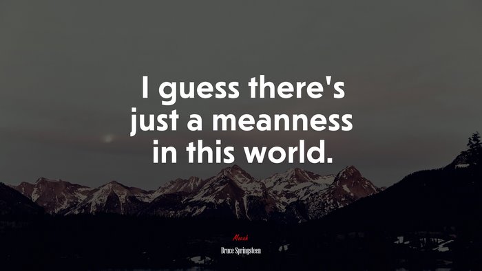 I guess there’s just a meanness in this world. | Bruce Springsteen quote