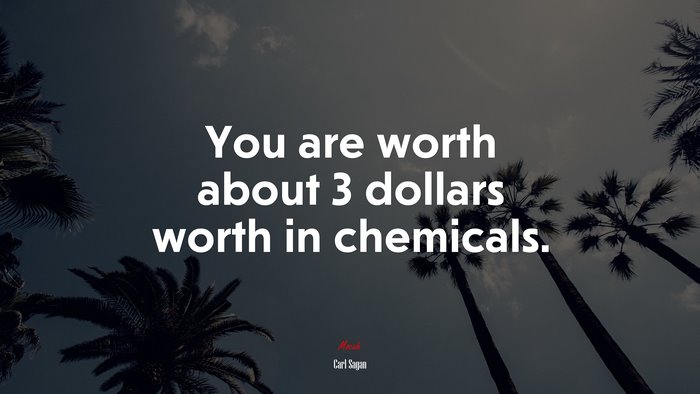 You are worth about 3 dollars worth in chemicals. | Carl Sagan quote
