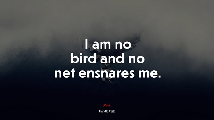 I am no bird and no net ensnares me. | Charlotte Brontë quote