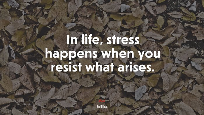 In life, stress happens when you resist what arises. | Dan Millman quote