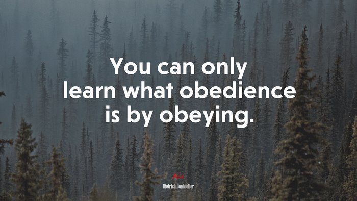 You can only learn what obedience is by obeying. | Dietrich Bonhoeffer quote