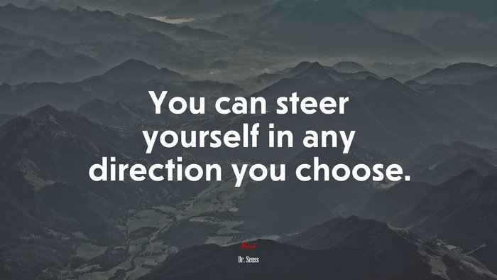 You can steer yourself in any direction you choose. | Dr. Seuss quote